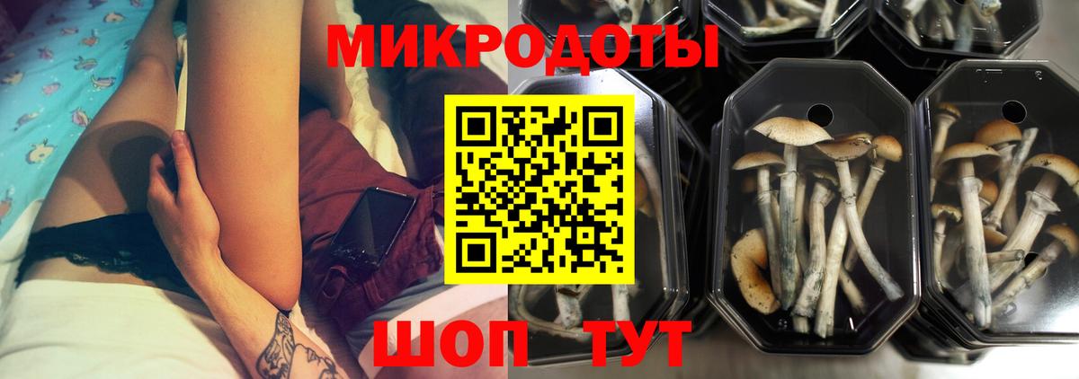Псилоцибиновые грибы Psilocybe  Вход с VPN  Тайшет 